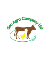 sec agro logo removebg preview