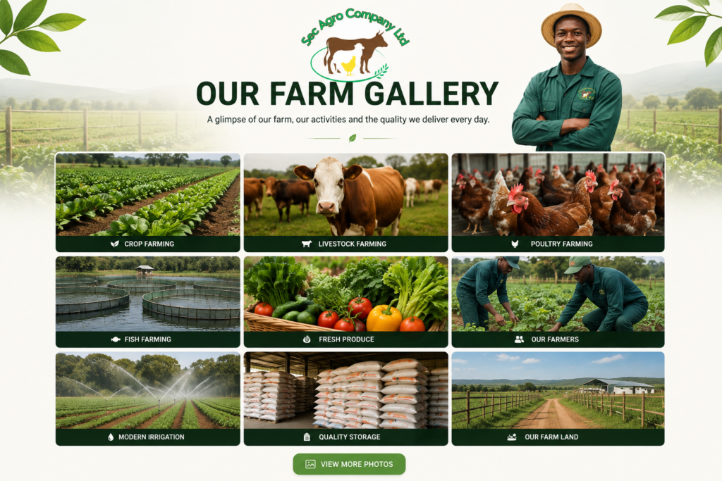 Gallery ea18ae14 8a97 4504 8068 0d333579d205